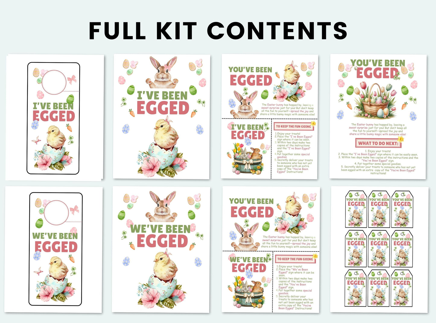 You've Been Egged Kit