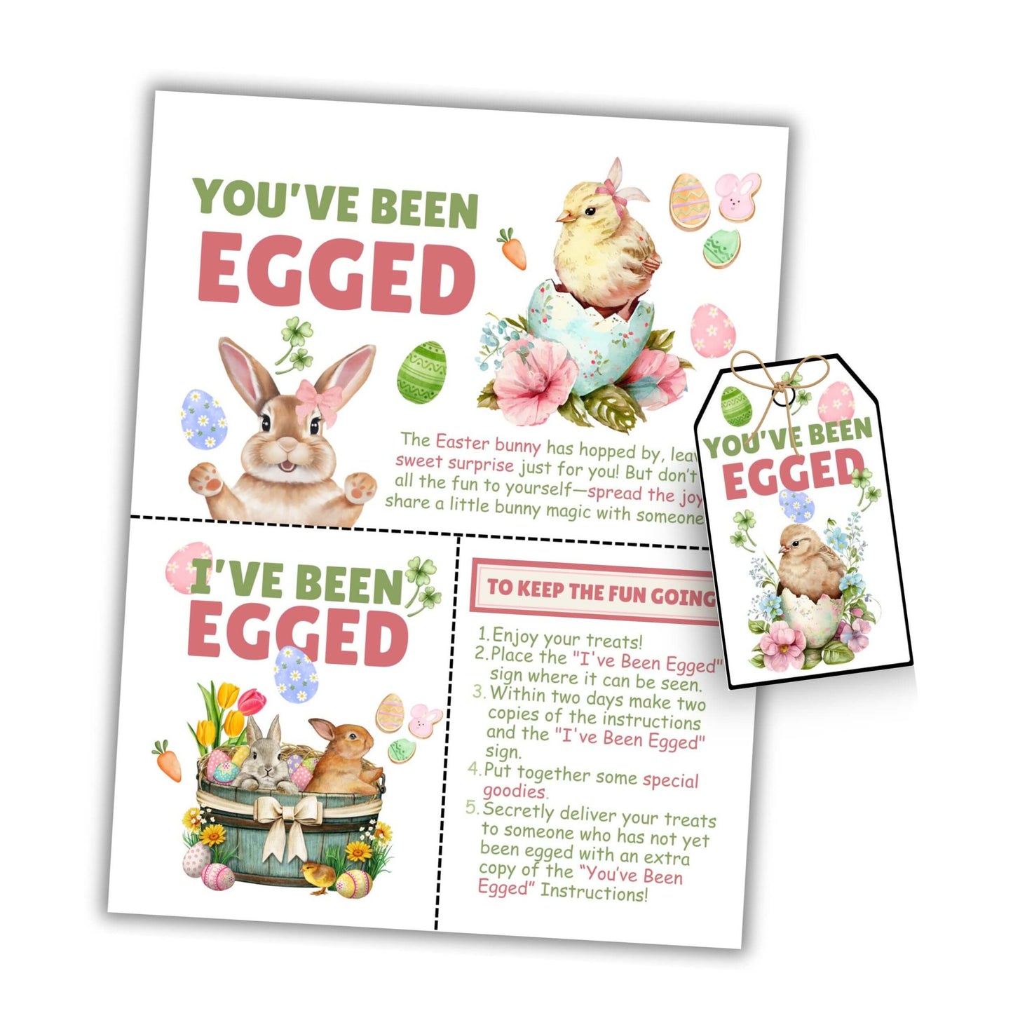 You've Been Egged Kit