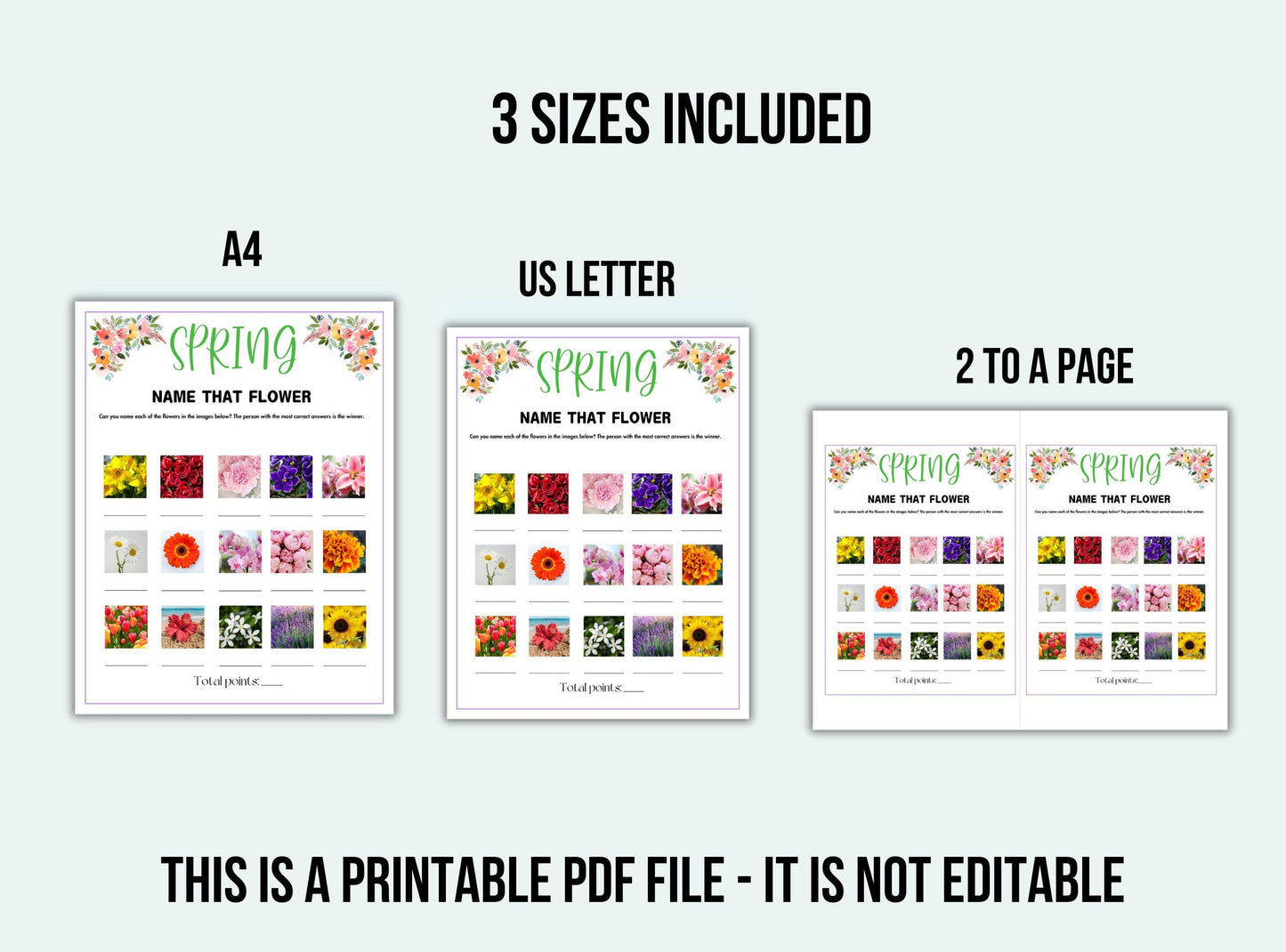 Three versions of a 'Name That Flower' worksheet for A4, US Letter, and two-to-a-page formats on a white background.