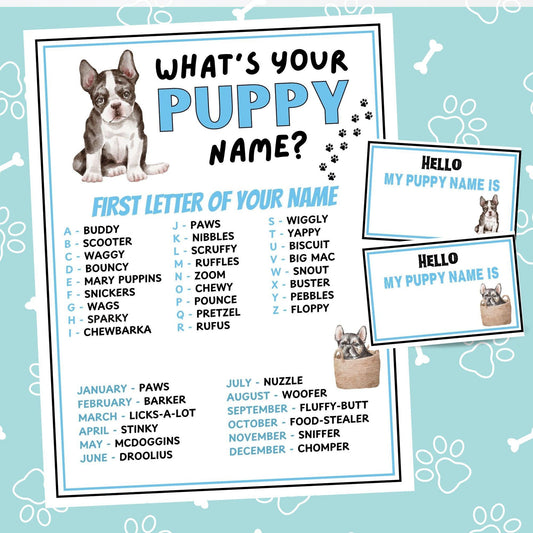 Puppy name generator with dog illustrations on a blue background