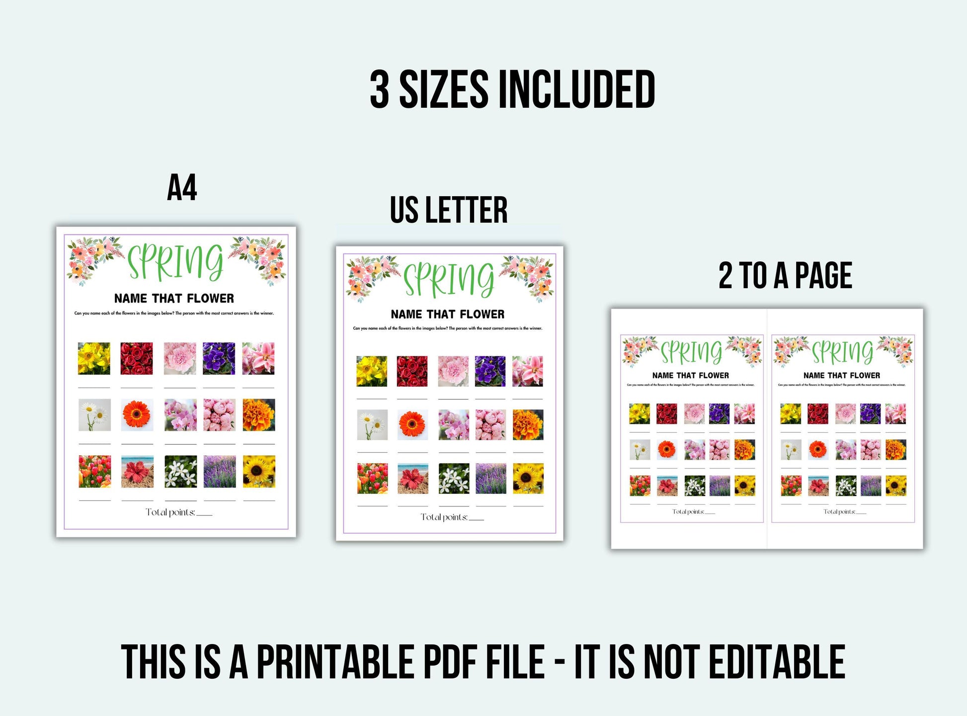 Three versions of a 'Name That Flower' worksheet for A4, US Letter, and two-to-a-page formats on a white background.